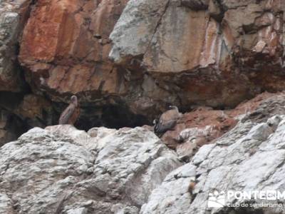 Parque Nacional Monfragüe - Reserva Natural Garganta de los Infiernos-Jerte;agencias senderismo mad